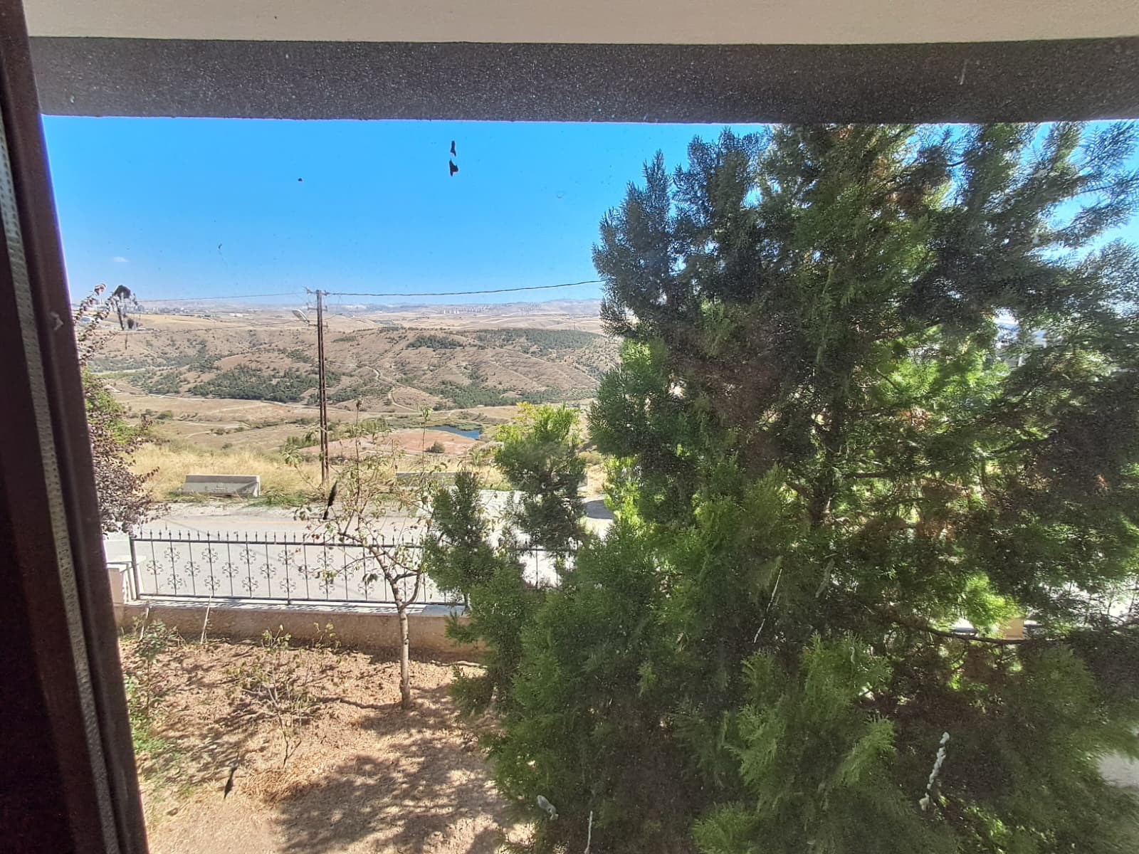 ŞEHRİN MERKEZİNDE DOGA İÇİNDE